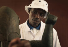 Test Blu-ray : Dahomey