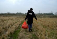 Les sorties du 9 juillet 2025