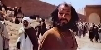 Critique Express : Chronique des années de braise