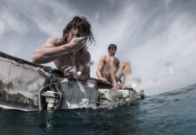 Top 10 des films de survie à voir absolument