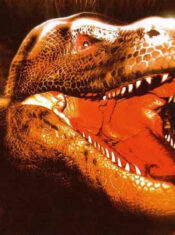 Test Blu-ray : Komodo