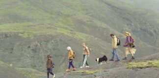 La Roche-sur-Yon 2025 : L’Amour qu’il nous reste