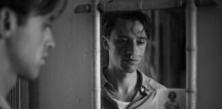 Les sorties du 29 octobre 2025