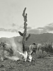 Critique Express : les cavaliers des terres sauvages