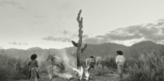 Critique Express : les cavaliers des terres sauvages