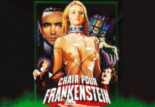 Test Blu-ray 4K Ultra HD : Chair pour Frankenstein