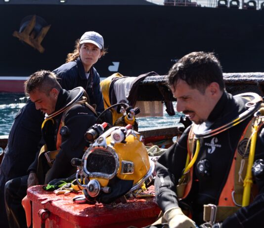 Critique Express : Los Tigres