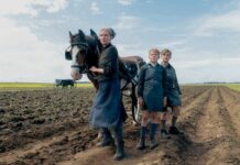 Critique Express : Une enfance allemande – île d’Amrum 1945