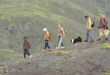 Critique Express : L’amour qu’il nous reste