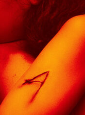 Test Blu-ray : Alpha