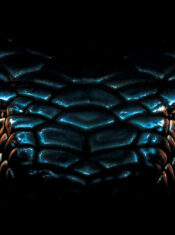 Test Blu-ray 4K Ultra HD : Anaconda, le prédateur