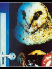 Test Blu-ray : Bloody Bird