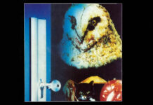 Test Blu-ray : Bloody Bird