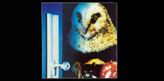 Test Blu-ray : Bloody Bird