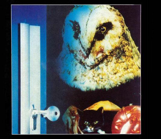 Test Blu-ray : Bloody Bird