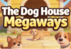 The Dog House Megaways jackpot : y en a-t-il un et comment ça marche ?