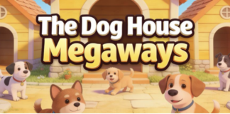 The Dog House Megaways jackpot : y en a-t-il un et comment ça marche ?