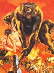 Test Blu-ray : Les Sables du Kalahari