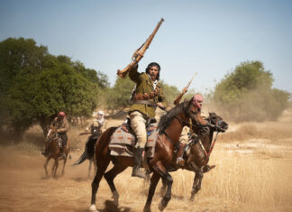 Critique : Palestine 36