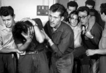 Critique : Le rendez-vous des quais