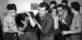 Critique : Le rendez-vous des quais