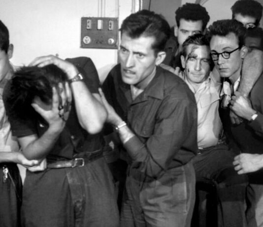 Critique : Le rendez-vous des quais