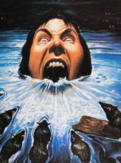 Test Blu-ray : La Créature du Cimetière