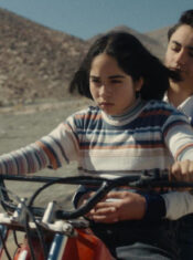 Critique : Le Mystérieux regard du flamant rose