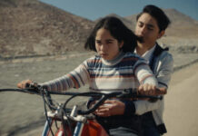 Critique : Le Mystérieux regard du flamant rose