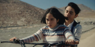 Critique : Le Mystérieux regard du flamant rose