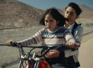 Critique : Le Mystérieux regard du flamant rose