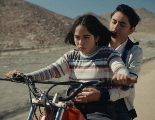 Critique : Le Mystérieux regard du flamant rose