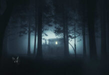 Test Blu-ray : Shelby Oaks