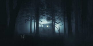 Test Blu-ray : Shelby Oaks