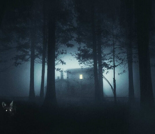 Test Blu-ray : Shelby Oaks