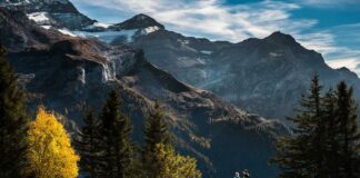 Casinozer : Notre plongée dans l’univers d’un casino en ligne français émergent