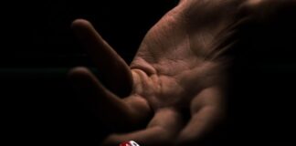 Derrière le velours rouge : Pourquoi les cinéastes ne cessent de revenir aux salles de casino