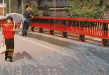 Test Blu-ray : De l’eau tiède sous un pont rouge