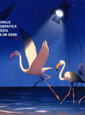 Venise 2026 : la compétition