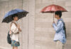 Critique : Sous le ciel de Kyoto
