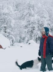Critique Express : Dégel