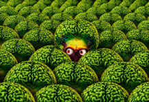 Test Blu-ray 4K Ultra HD : Mars Attacks! – Édition Collector Limitée 30ème Anniversaire