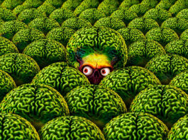 Test Blu-ray 4K Ultra HD : Mars Attacks! – Édition Collector Limitée 30ème Anniversaire