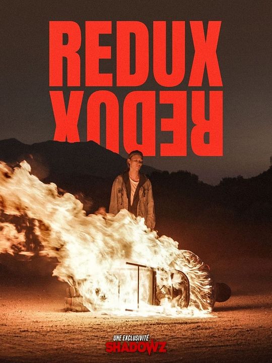 Affiche Redux Redux